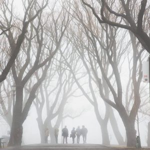 Comfort and Community