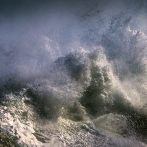 Saved from the Shipwreck