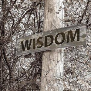 The Folly of Wisdom