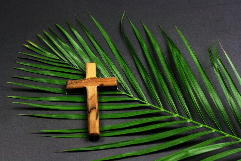 Why Did Jesus Come? (Palm Sunday 2023)