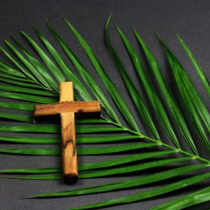 Why Did Jesus Come? (Palm Sunday 2023)